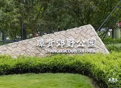青谷背承(青谷公司是做什么的)